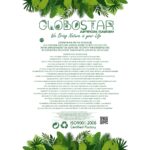 GloboStar® Artificial Garden RED COLAR BRANCH 21468 Τεχνητό Διακοσμητικό Κλαδί Κόκκινο Koράλι Y35cm - Image 3