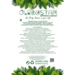 GloboStar® Artificial Garden VARIOUS PLANTS ROUND WALL DISC 20691 Τεχνητό Διακοσμητικό Στρογγυλό Πάνελ Φυλλωσιάς - Κάθετος Κήπος Μιξ Μ60 x Π60 x Υ20cm - Image 9