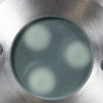 GloboStar® UNDERWATER-GUNE 90406 Υποβρύχιο Χωνευτό Φωτιστικό Σποτ Ειδικό για Σιντριβάνια LED 12W 1020lm 60° DC 24V Αδιάβροχο IP68 Φ10 x Υ7.5cm RGBW DMX512 - Ανοξείδωτο Ατσάλι - 3 Years Warranty - Image 6